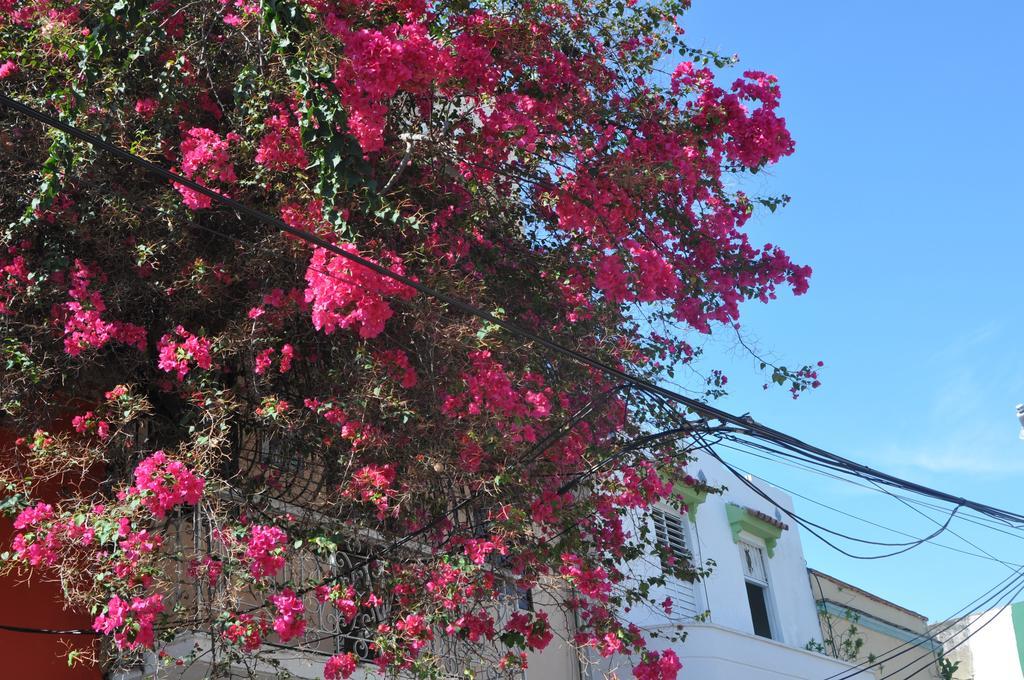 Dona Elvira Boutique Hotel سانتو دومينجو الغرفة الصورة